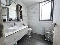 The Alps Residences (D18), Condominium #582922101
